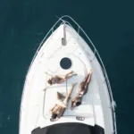 Seduction yatch tenerife 14